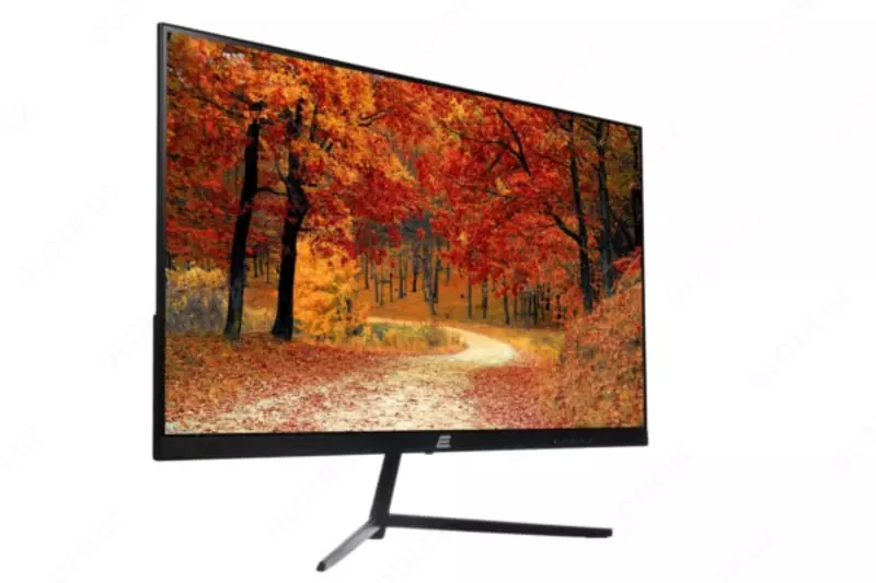 Монитор 2E D2421B